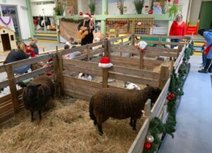 Une semaine pleine de découvertes à Au Fil du Jeu