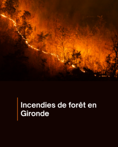 Incendies en Gironde : des fumées perceptibles en Indre-et-Loire